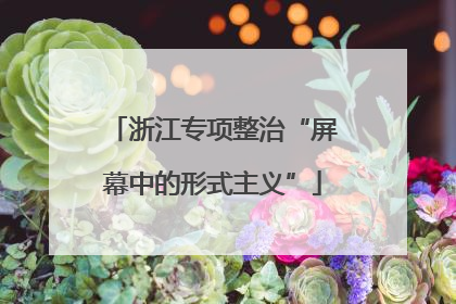 浙江专项整治“屏幕中的形式主义”