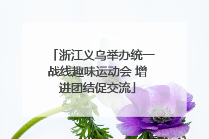 浙江义乌举办统一战线趣味运动会 增进团结促交流