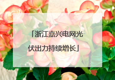 浙江嘉兴电网光伏出力持续增长