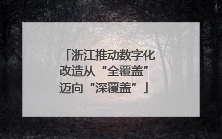 浙江推动数字化改造从“全覆盖”迈向“深覆盖”