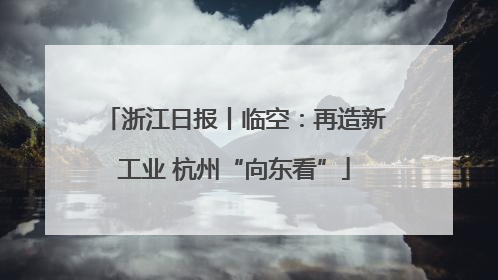 浙江日报丨临空：再造新工业 杭州“向东看”
