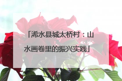 浠水县城太桥村：山水画卷里的振兴实践