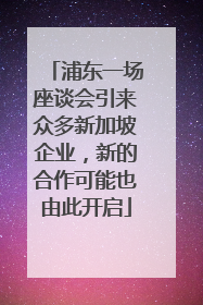 浦东一场座谈会引来众多新加坡企业，新的合作可能也由此开启