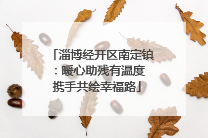 淄博经开区南定镇：暖心助残有温度 携手共绘幸福路