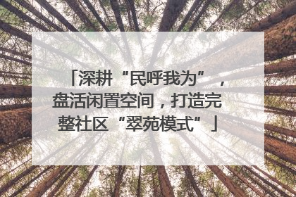深耕“民呼我为”，盘活闲置空间，打造完整社区“翠苑模式”
