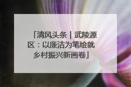 清风头条｜武陵源区：以廉洁为笔绘就乡村振兴新画卷