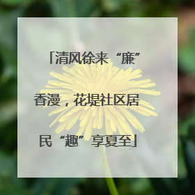 清风徐来“廉”香漫，花堤社区居民“趣”享夏至