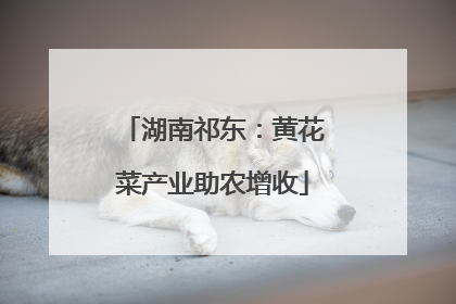 湖南祁东：黄花菜产业助农增收