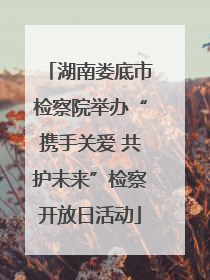 湖南娄底市检察院举办“携手关爱 共护未来”检察开放日活动