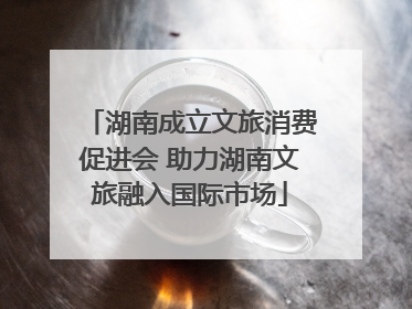 湖南成立文旅消费促进会 助力湖南文旅融入国际市场