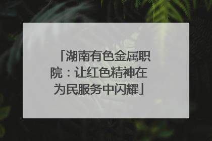 湖南有色金属职院：让红色精神在为民服务中闪耀