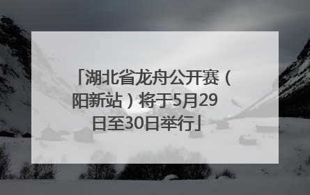 湖北省龙舟公开赛（阳新站）将于5月29日至30日举行