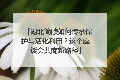 湖北简牍如何传承保护与活化利用？这个座谈会共商新路径