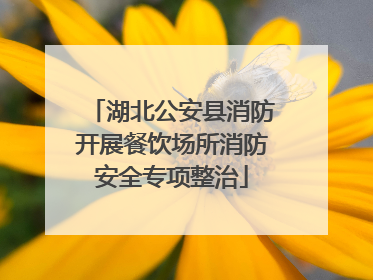 湖北公安县消防开展餐饮场所消防安全专项整治
