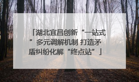 湖北宜昌创新“一站式”多元调解机制 打造矛盾纠纷化解“终点站”