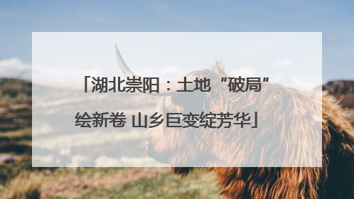 湖北崇阳：土地“破局”绘新卷 山乡巨变绽芳华