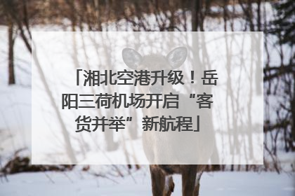 湘北空港升级！岳阳三荷机场开启“客货并举”新航程