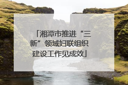 湘潭市推进“三新”领域妇联组织建设工作见成效