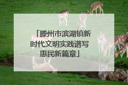 滕州市滨湖镇新时代文明实践谱写惠民新篇章