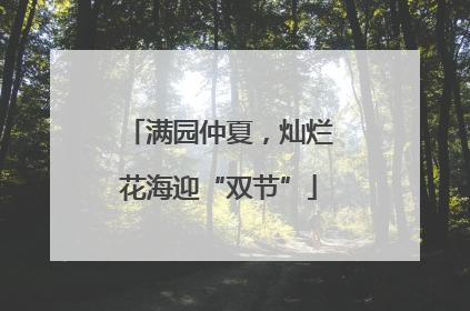 满园仲夏，灿烂花海迎“双节”