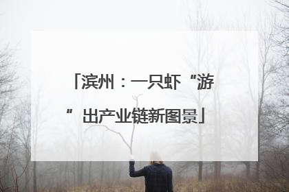 滨州：一只虾“游”出产业链新图景
