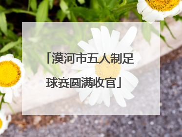 漠河市五人制足球赛圆满收官