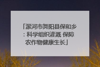 漯河市舞阳县保和乡：科学组织灌溉 保障农作物健康生长