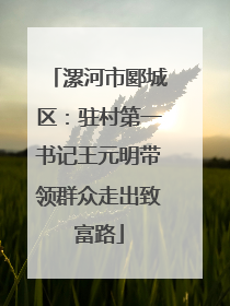 漯河市郾城区：驻村第一书记王元明带领群众走出致富路