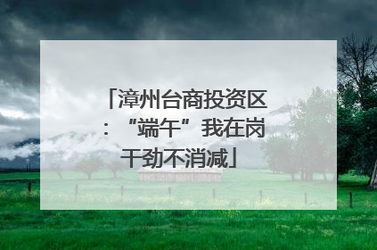 漳州台商投资区：“端午”我在岗 干劲不消减