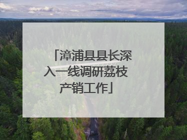 漳浦县县长深入一线调研荔枝产销工作