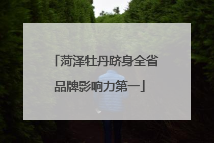 菏泽牡丹跻身全省品牌影响力第一
