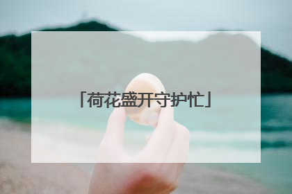 荷花盛开守护忙