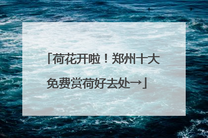 荷花开啦！郑州十大免费赏荷好去处→