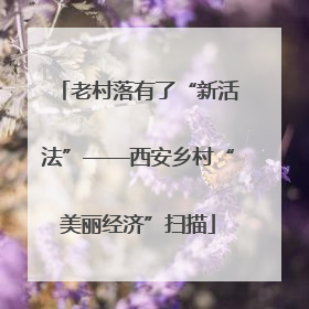 老村落有了“新活法”——西安乡村“美丽经济”扫描