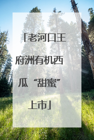 老河口王府洲有机西瓜“甜蜜”上市