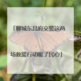 聊城东昌府交警这两场救援行动暖了民心