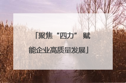 聚焦“四力” 赋能企业高质量发展