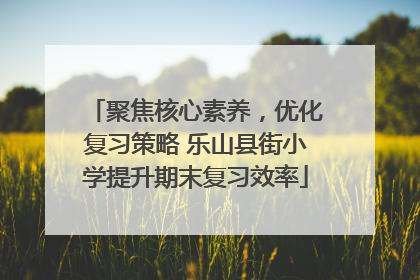 聚焦核心素养，优化复习策略 乐山县街小学提升期末复习效率
