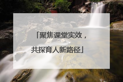 聚焦课堂实效，共探育人新路径