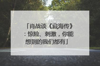 肖战谈《藏海传》：惊险、刺激，你能想到的我们都有
