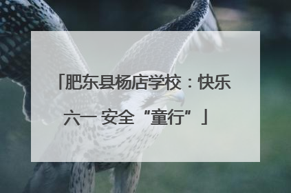肥东县杨店学校：快乐六一 安全“童行”