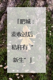 肥城：麦收过后秸秆有“新生”