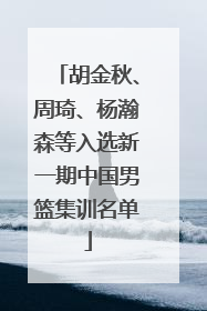 胡金秋、周琦、杨瀚森等入选新一期中国男篮集训名单