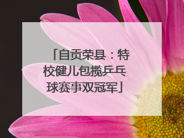 自贡荣县：特校健儿包揽乒乓球赛事双冠军