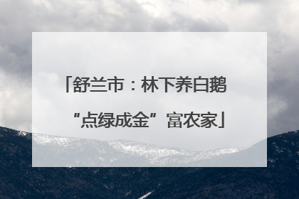 舒兰市：林下养白鹅 “点绿成金”富农家