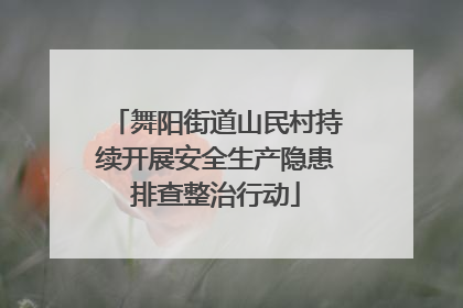 舞阳街道山民村持续开展安全生产隐患排查整治行动