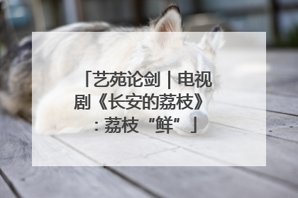 艺苑论剑｜电视剧《长安的荔枝》：荔枝“鲜”