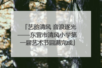 艺韵清风 音浪逐光——东营市清风小学第一届艺术节圆满完成