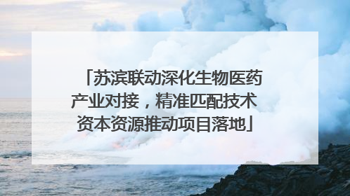 苏滨联动深化生物医药产业对接，精准匹配技术资本资源推动项目落地