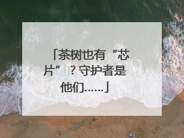 茶树也有“芯片”？守护者是他们……
